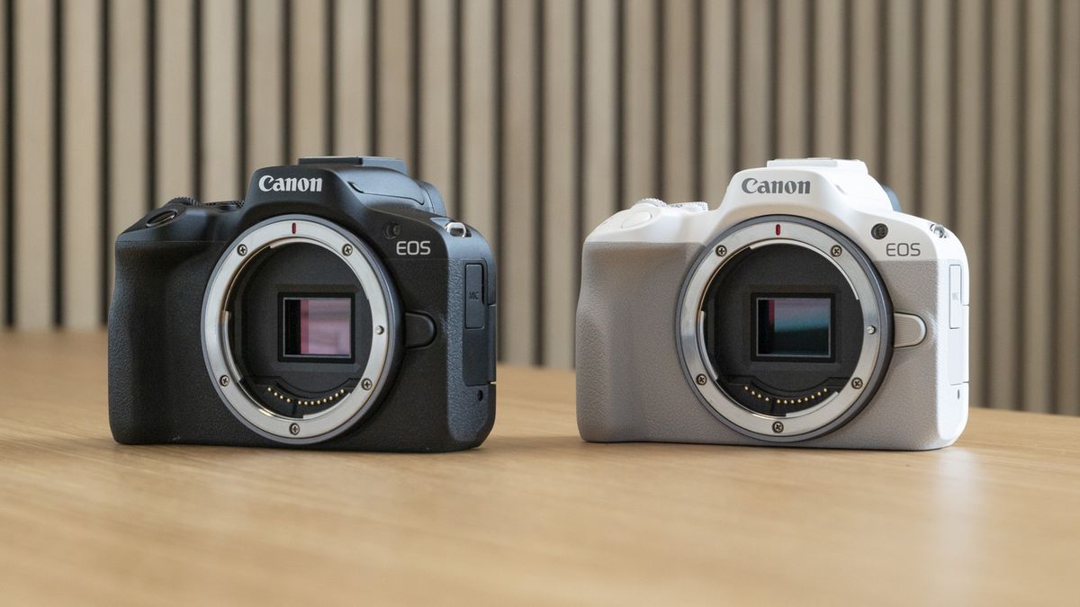Canon EOS R50